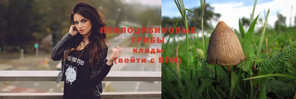гашик Белоозёрский