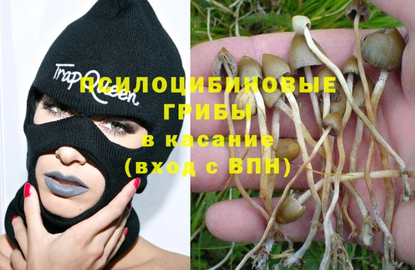прущая мука Белокуриха