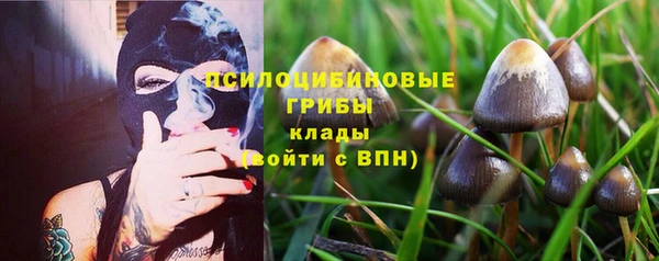 гашик Белоозёрский