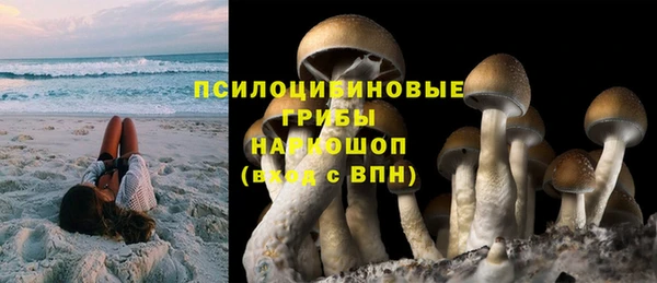 прущая мука Белокуриха