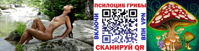 закладки  Бутурлиновка  Галлюциногенные грибы MAGIC MUSHROOMS 