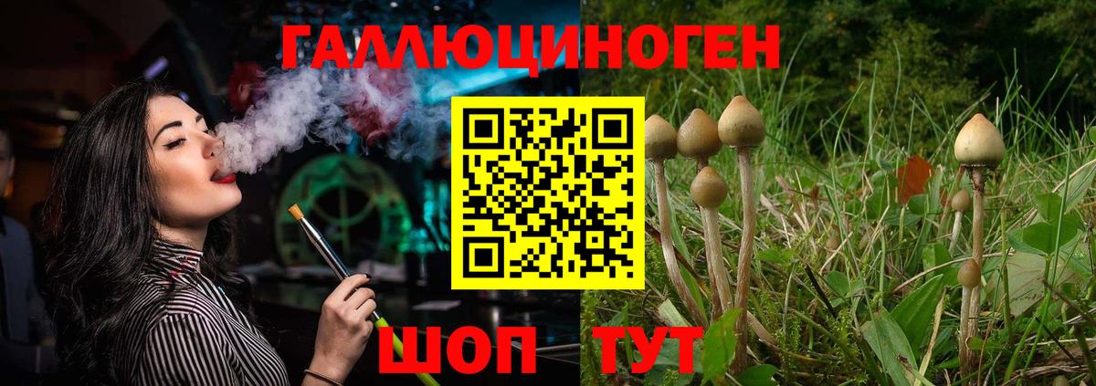 Галлюциногенные грибы MAGIC MUSHROOMS  Вход с VPN  Бутурлиновка  Галлюциногенные грибы Psilocybe 